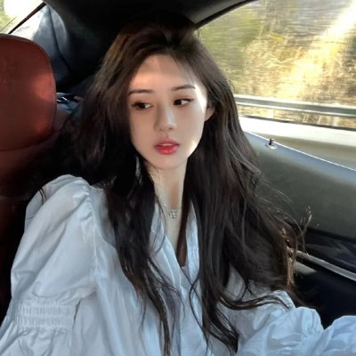 再见了,亲爱的总统 在线观看